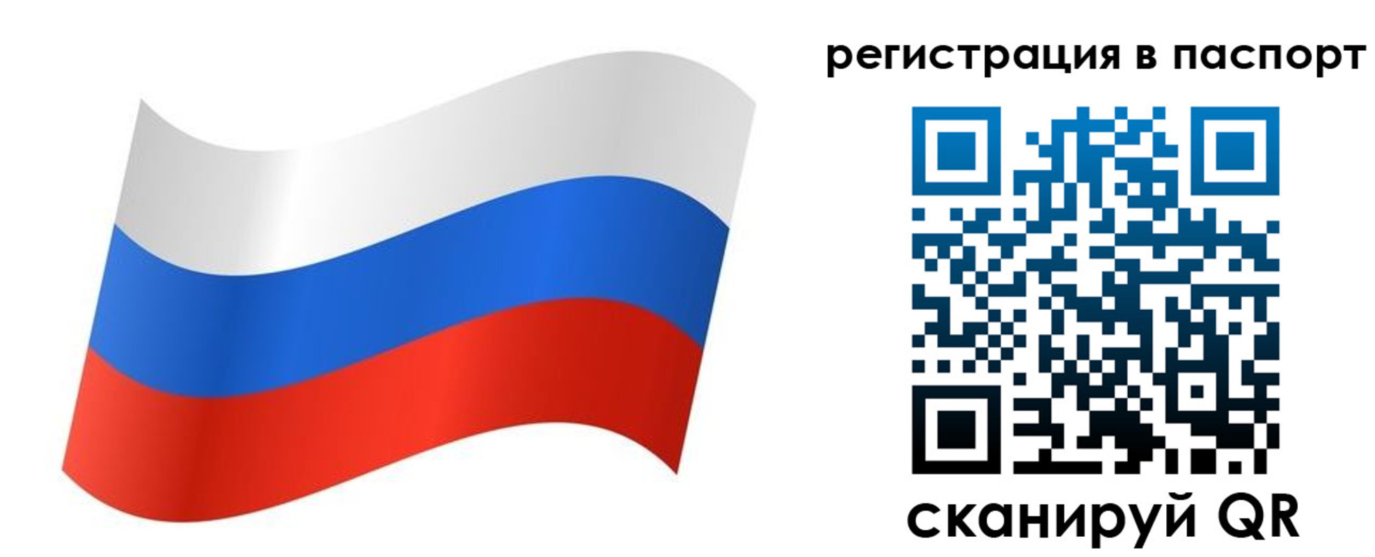 прописка для школы в Омске
